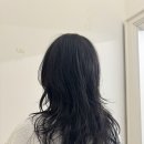 헤어셋틀러 이미지