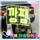 ＃ 날아라깡팸 홍삼이 순회돌아요>_< 이미지