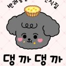 댕까댕까 이미지