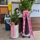 안변집 | 안양 순대국 돼지국밥 맛집 부산아지매국밥 안양동점 솔직 후기