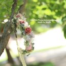 (주)아그로스 이미지