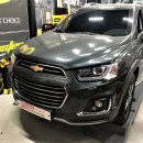 유로게러지 이미지