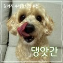 댕앗간 이미지