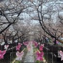 외양포해변 | 2026 진해 군항제 코스 및 주변 가볼만한곳 주남저수지·가덕도 드라이브 총정리