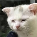 송촌동주민센터 인도 | 생애최초 아낌이보금자리론 타임라인 4편(입주 꿀팁)