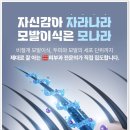 모나라피부과의원 이미지