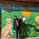 보룡농장 이미지