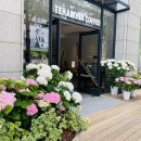 카페드파리 명동2호점 이미지