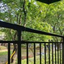 어반포레스트카페 이미지