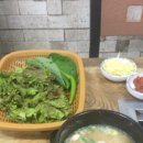 곰씨네장어나라 이미지