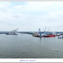 엘베강독일 이미지