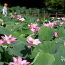 행복한세상 이미지