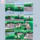 펫밀리즈 이미지