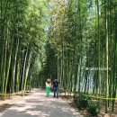 사성암 관광안내소 이미지