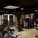 테라피트 이미지