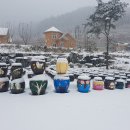 교동장독대마을 이미지