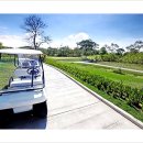 그린필드 이미지