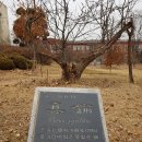 서울대학교 농생명과학 창업지원센터(구 서울대학교 농업생명과학대학교)