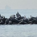 바른윤의원 이미지