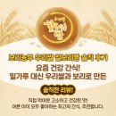 쌀과보리 | 보리농부 우리쌀 찰보리빵 솔직 후기