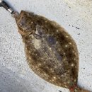 영복1호 이미지