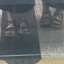 곽호준 | 이제 내가 사라져볼게 얍