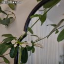 카페 프리헷 목동13점