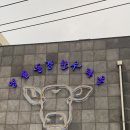 따뜻한한반도나눔발전소1호 | 코스 (영월 동강한우, 서부시장, 미탄집, 일미닭강정, 세심다원, 한반도지형, 주천묵집, 카페 421)