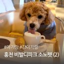 체인지그라운드셀프세차장 | 홍천 비발디파크 소노펫클럽앤리조트 숙박기 (2) - 부대시설 총정리
