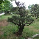 해송4로 이미지