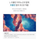 고려생화학 | 모유유래 유산균 내돈내산 후기 프롤린 모유유래 유산균 포스트 프리바이오틱스 프로바이오틱스 제대로...