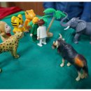 전라북도 척수장애인협회 이미지