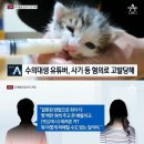 갑수농장 티스토리