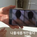 웰리스 | 다산다이어트 나를 새롭게 만들다 웰리스리셋 후기
