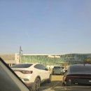 나무와 해(海) | [251116] WONDERLIVET 2025 (원더리벳 2025) 마지막 3일차 후기 (Feat.타올 잃어버린 사건)