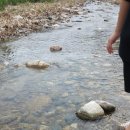 시골집본가 이미지