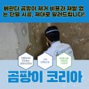 베란다 곰팡이 제거 비용과 재발 없는 단열 시공, 제대로 알려드립니다!