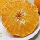 태형농장 이미지