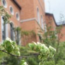 ✅ 세무사의 용역비, 3년 지나도 받을 수 있다? 단기소멸시효판례 이미지