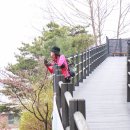 431회 일요걷기(4월10일)는 개나리 벚꽃동산길 독립문역에서 안산 궁동산 ..리딩/불로인님 이미지