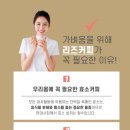 라본브아 네이버블로그