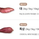 숙이농산 - 제주시 구남로 16 | 숙이농산