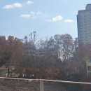 20418 정유찬 이미지