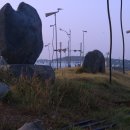 꽃지사랑 이미지