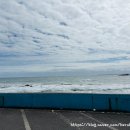 블랑도도 이미지