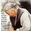 내 어머니의 향수 이미지