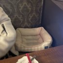 혜진이네식당