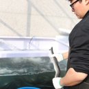 처인구 가족식사 하기 좋은 맛집 고풍 방문후기