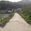 충주 행복한 농장 이미지