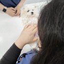 신영통동물병원 이미지